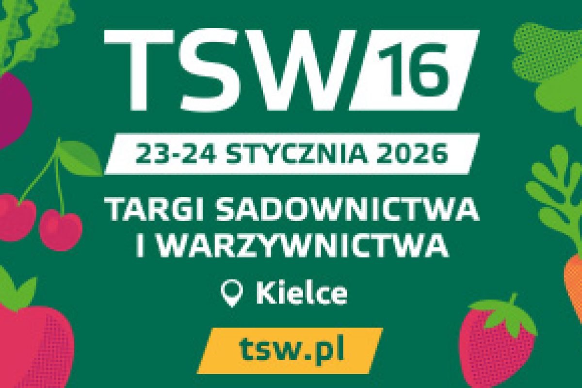 340x193 TSW 2026