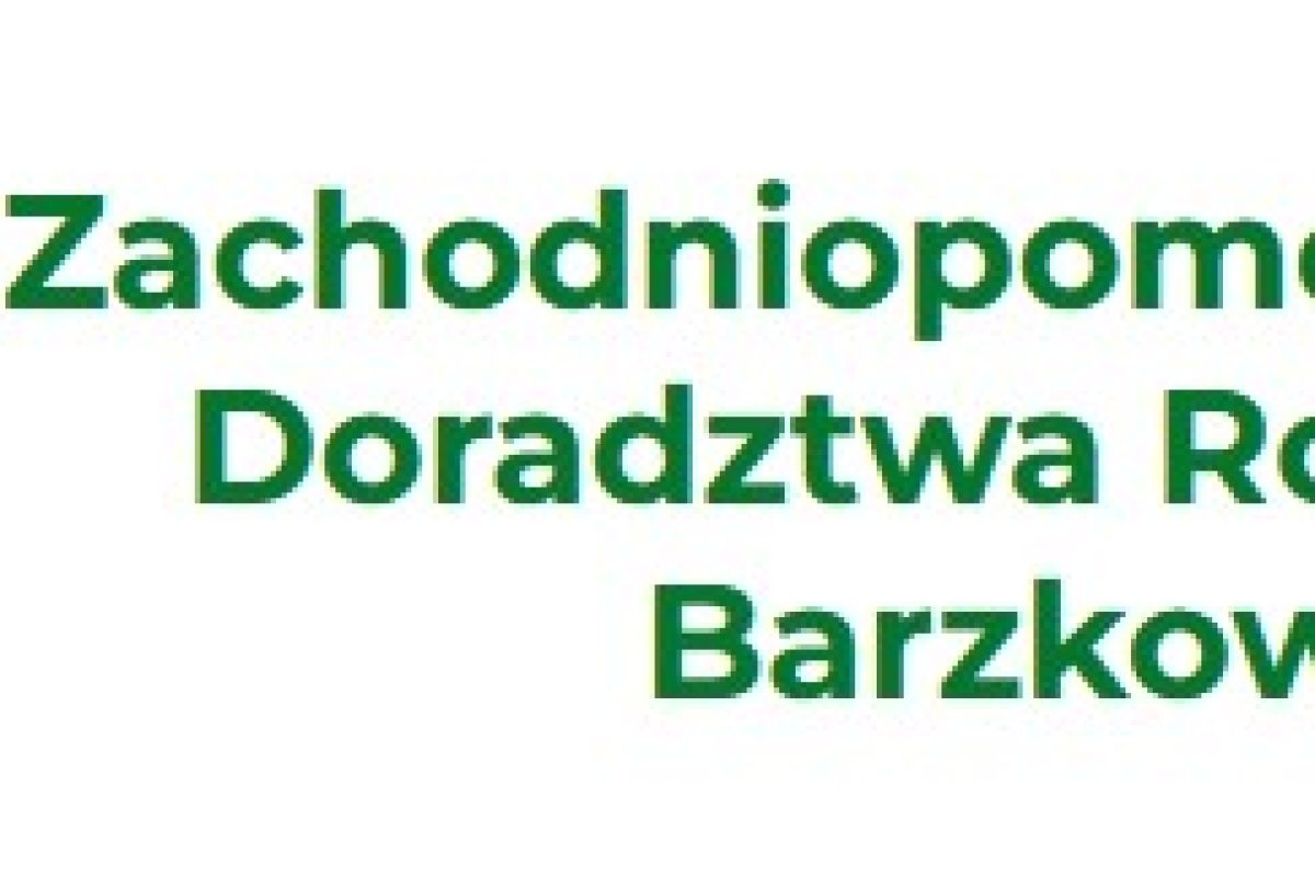 Barzkowice